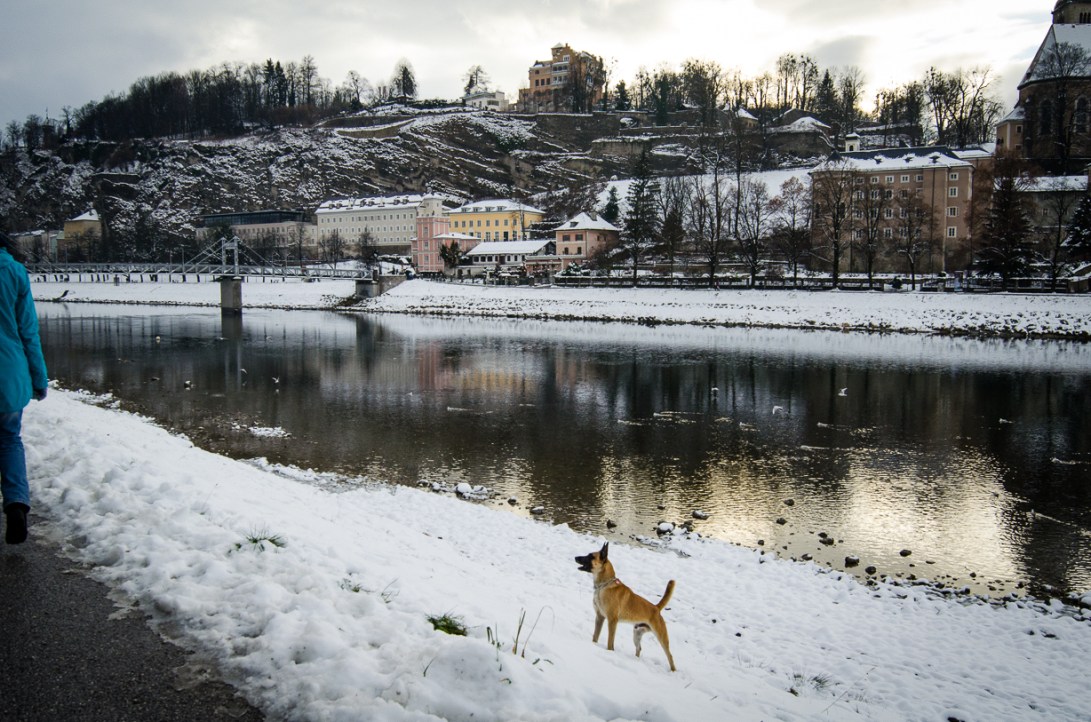 Travel January 2016 - Europe_-223