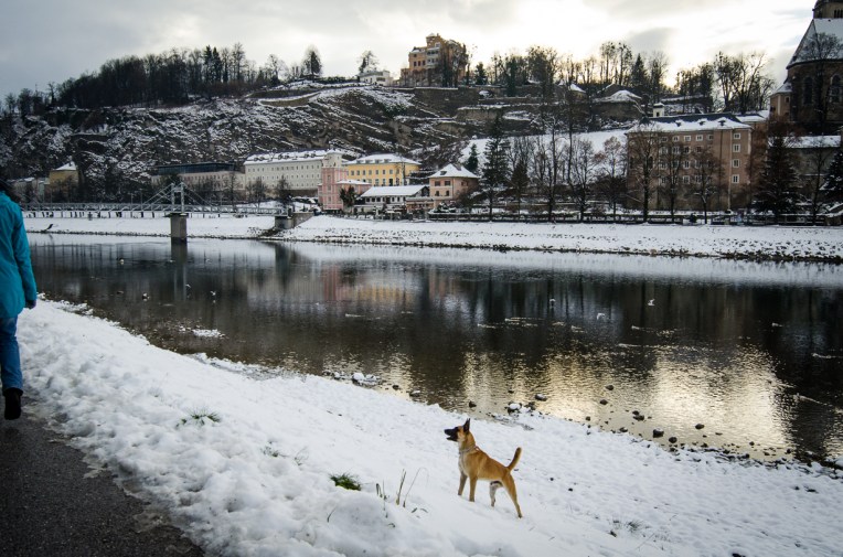 Travel January 2016 - Europe_-223