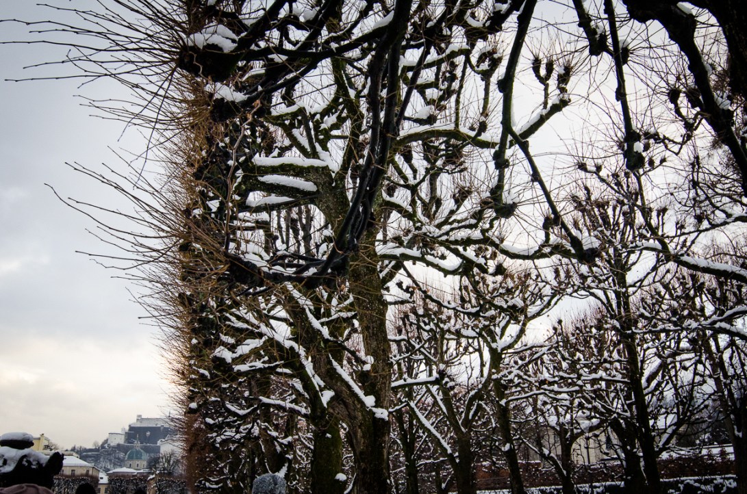 Travel January 2016 - Europe_-228