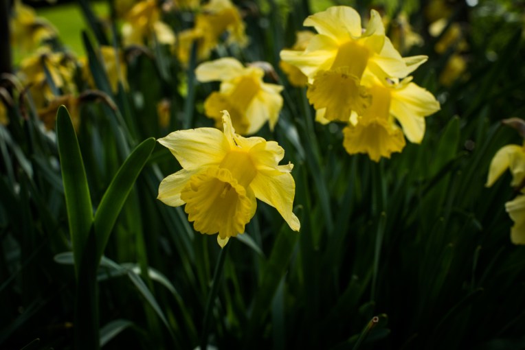 south-new-zealand-100