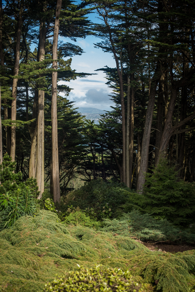 south-new-zealand-102