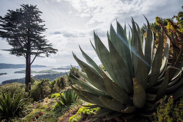 south-new-zealand-109