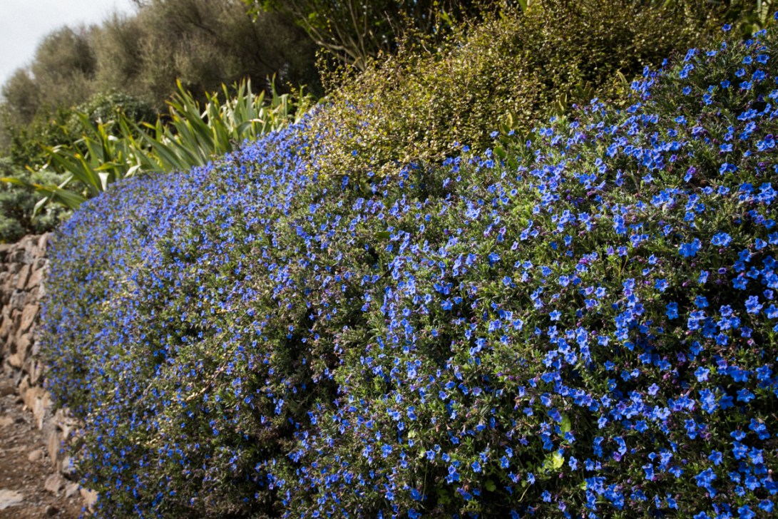 south-new-zealand-110