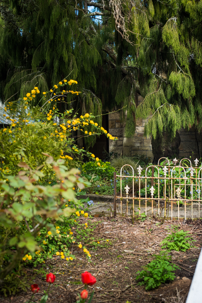 south-new-zealand-114