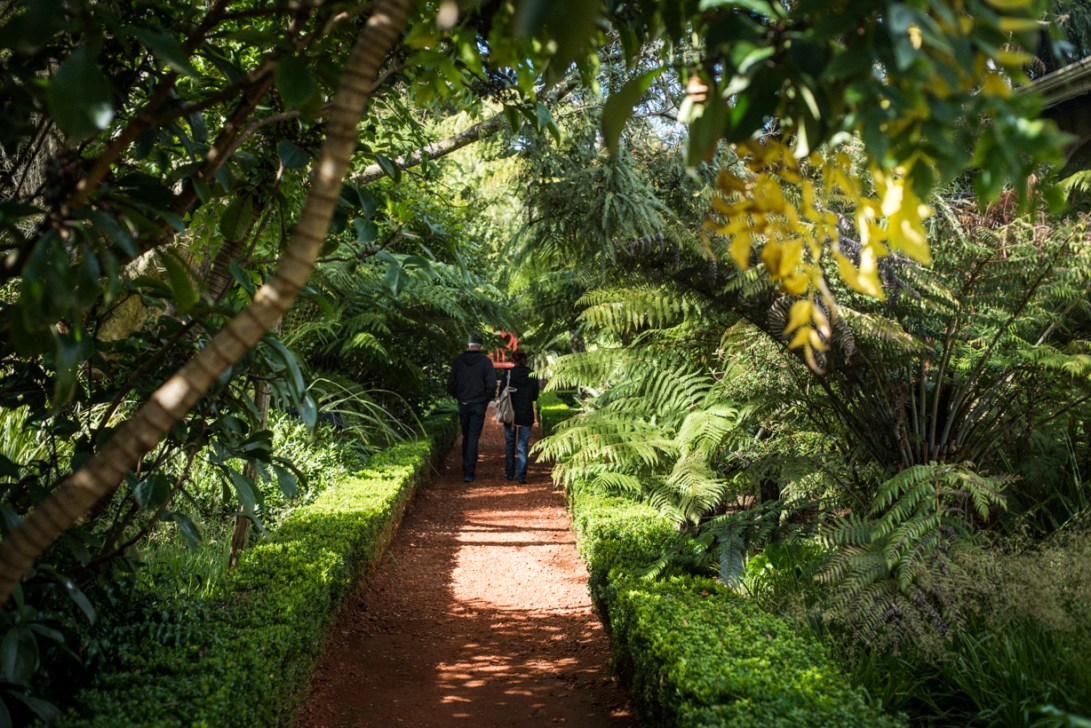 south-new-zealand-117