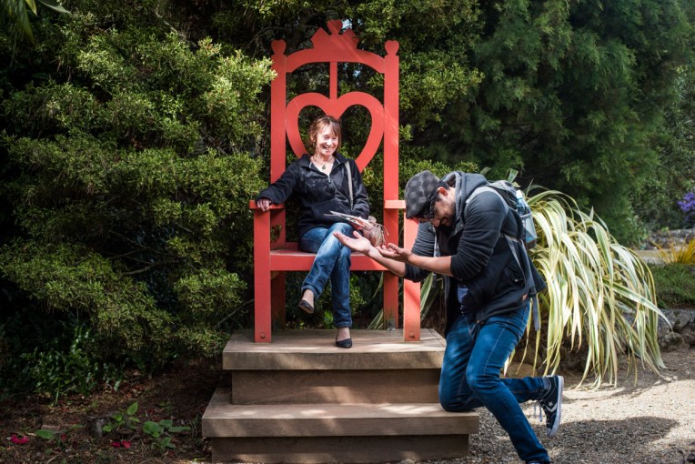 south-new-zealand-119