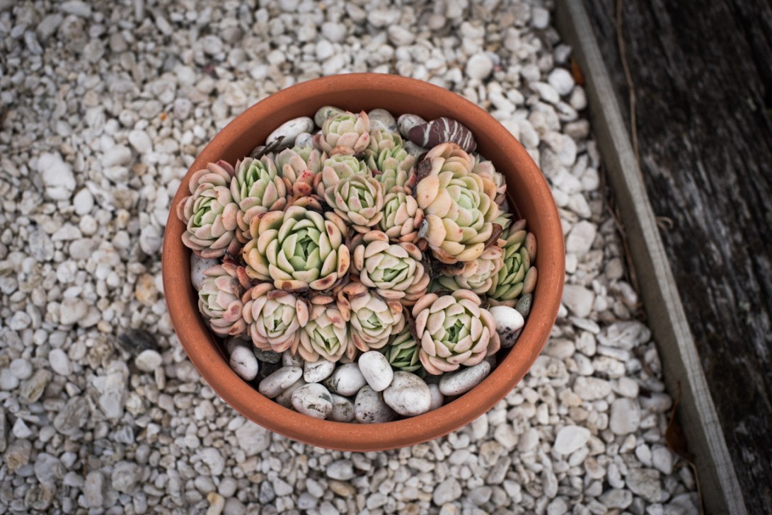 south-new-zealand-60