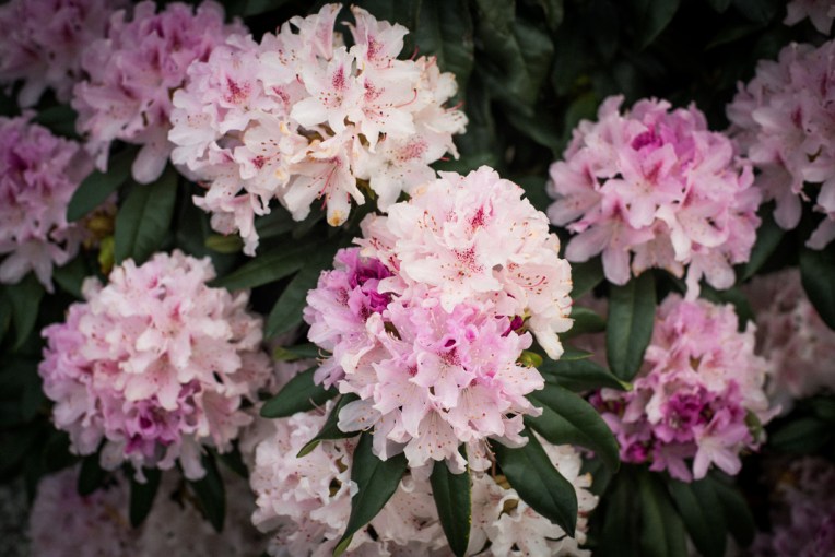 south-new-zealand-63