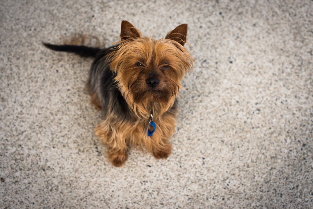 south-new-zealand-65