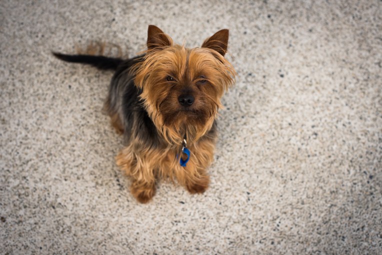 south-new-zealand-65