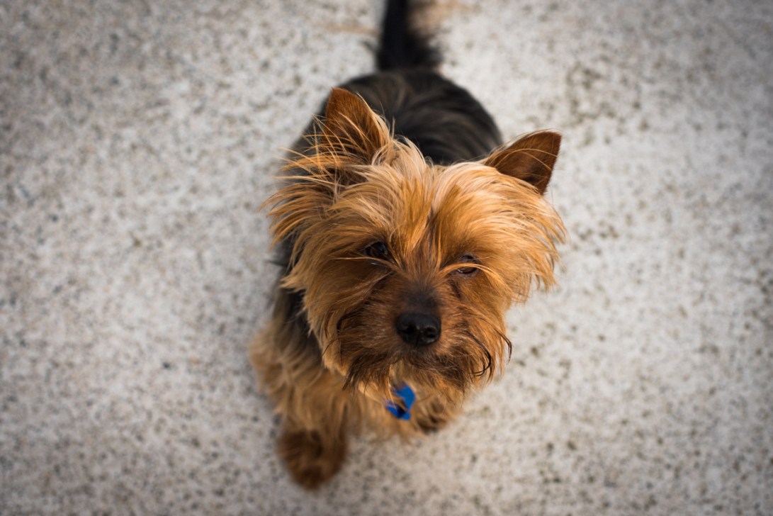 south-new-zealand-66