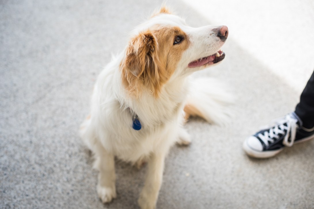 south-new-zealand-89