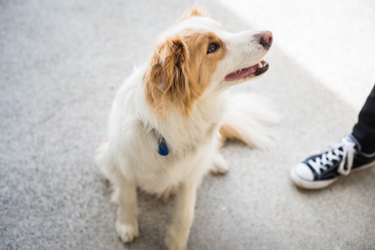 south-new-zealand-89