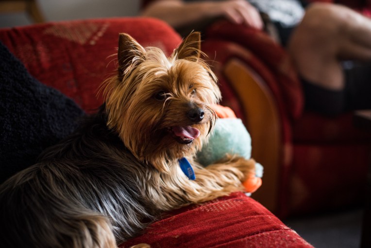 south-new-zealand-94