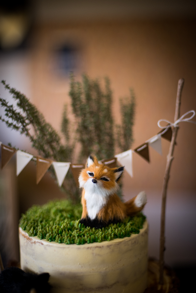 our-baby-shower-18-feb-2017-3