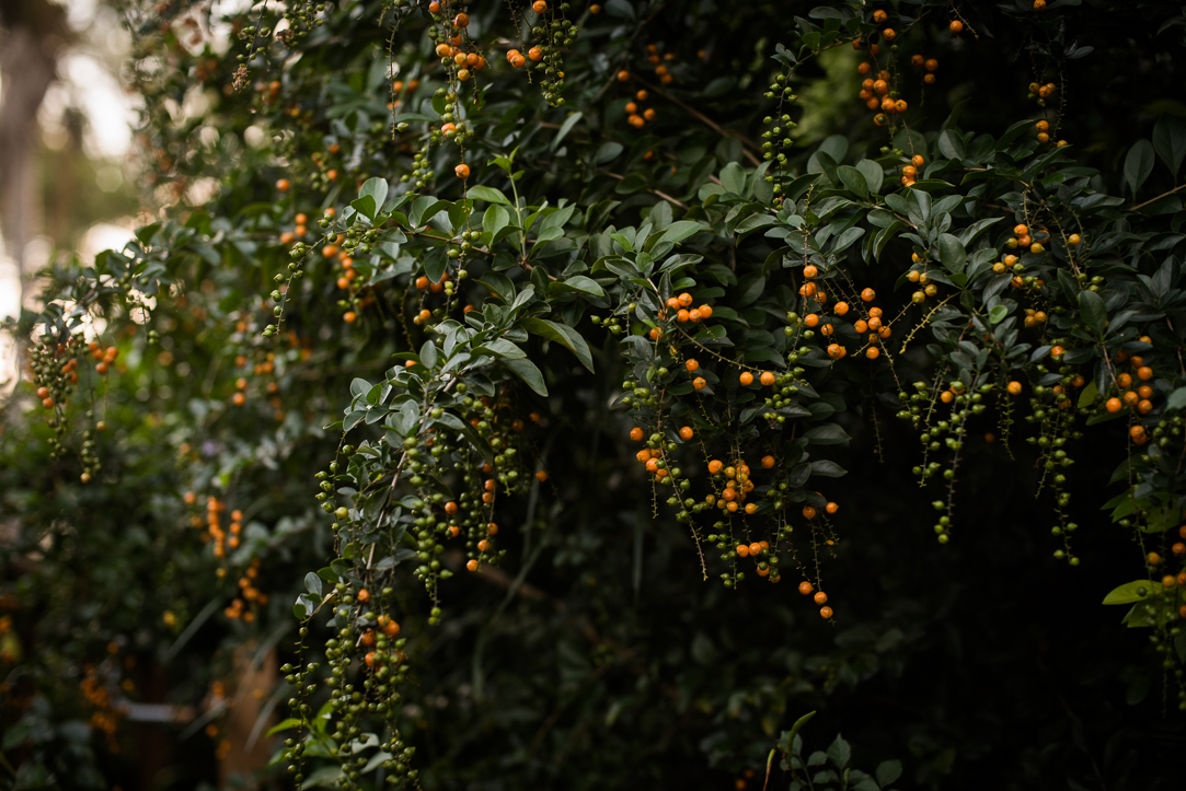 Jenyns' Maternity Photoshoot- Social Media-26