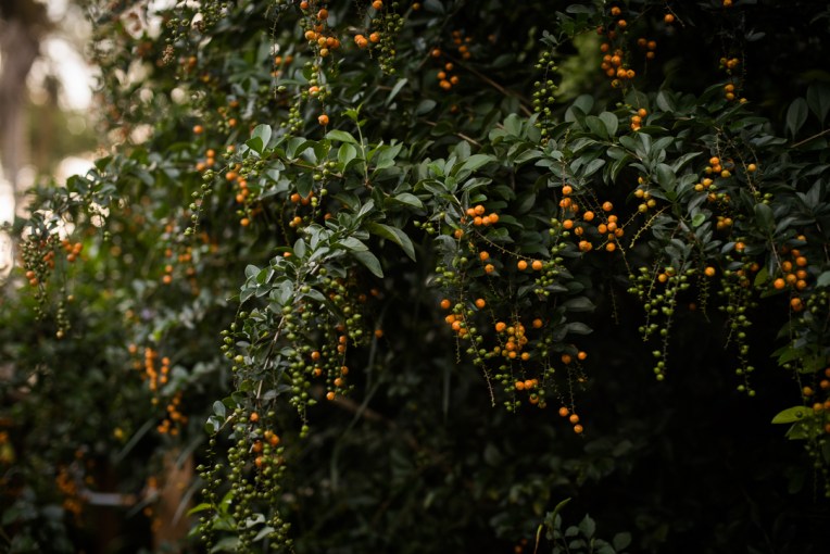 Jenyns' Maternity Photoshoot- Social Media-26