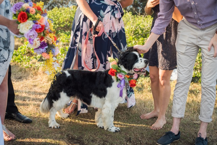 Alex & Lauren's Wedding-123