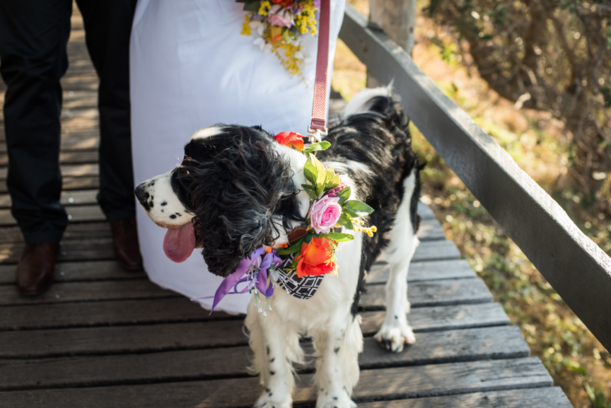 Alex & Lauren's Wedding-19