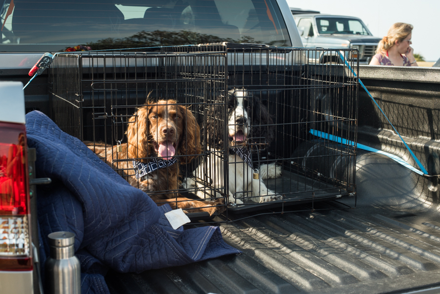 Alex & Lauren's Wedding-2