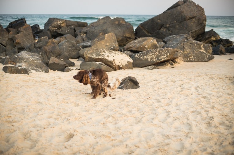 Alex & Lauren's Wedding-284