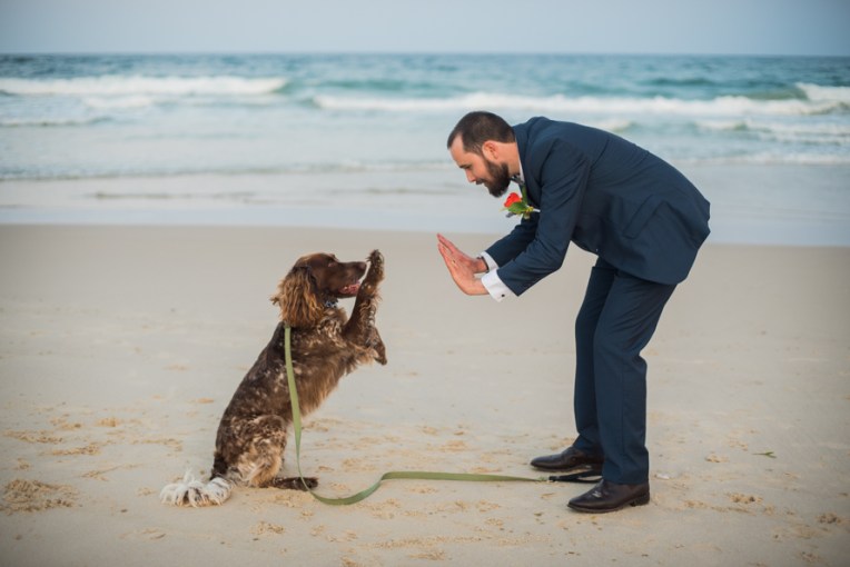 Alex & Lauren's Wedding-311