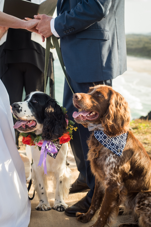 Alex & Lauren's Wedding-47