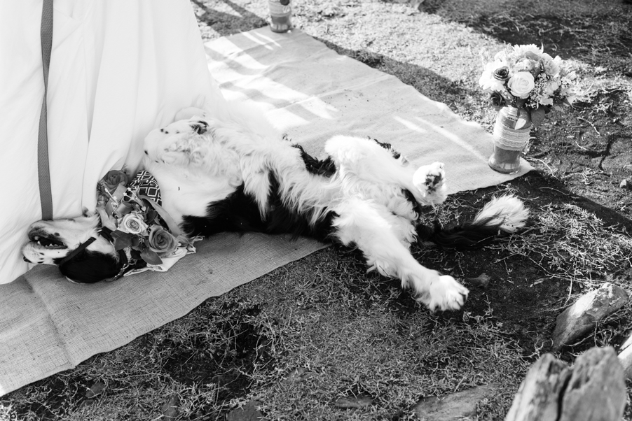 Alex & Lauren's Wedding B&W-29