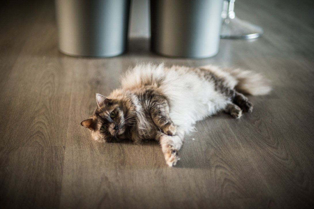 Tameika, John & Alice-45