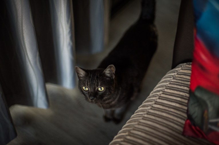 Tameika, John &amp; Alice-47